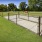 fenced in dog park